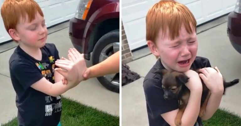 Boy Was Saving His Money To Buy Puppy, Grandma Asks Him To
Close His Eyes &amp; Stretch His Arms