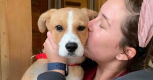 Once Tearful Shelter Puppy Finds a Loving Forever
Home