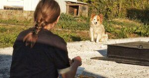 Woman Spends 6 Months Trying To Rescue Scared Dog, Something
Unexpected Happens