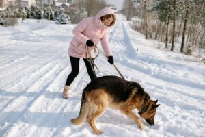 10 Dog Breeds That Are Surprisingly Good At Scent
Work