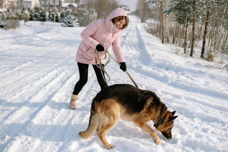 10 Dog Breeds That Are Surprisingly Good At Scent
Work
