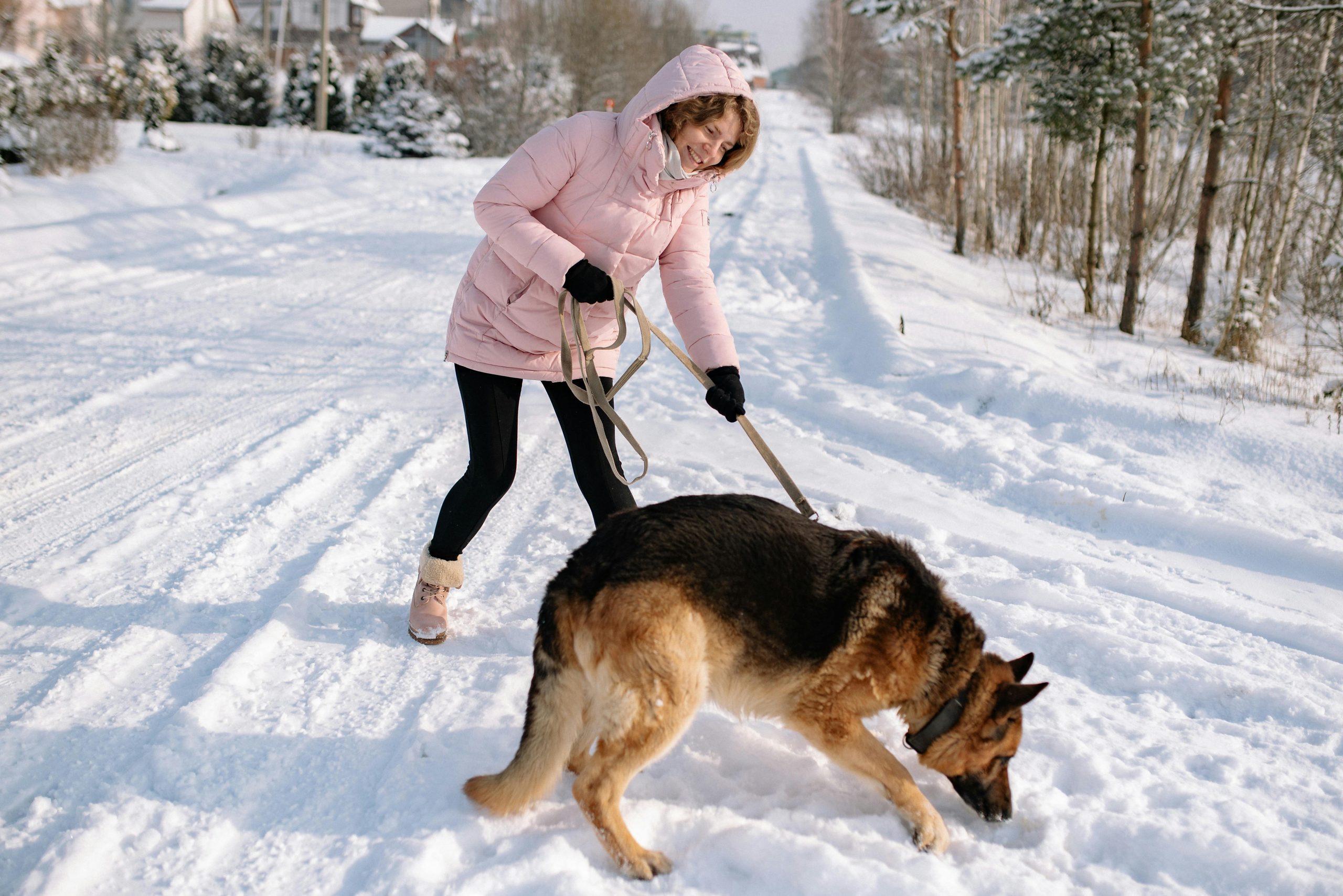 10 Dog Breeds That Are Surprisingly Good At Scent
Work