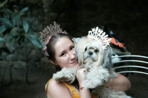 6 Signs You Are Your Shih Tzus Favorite Human