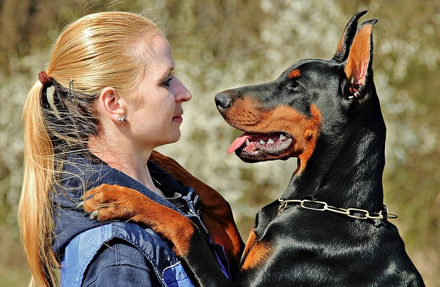 8 Most Bold & Courageous Dog Breeds