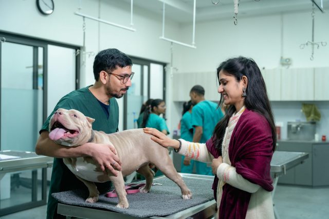 The Importance Of Vaccinations For Your Dog